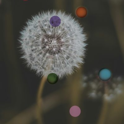 A energia das conexões é invisível. No cérebro, tudo o que acontece depende de uma pequena faísca. Uma sinapse, por exemplo, é o instante em que a informação passa de um neurônio ao outro, de modo a criar um circuito vivo de comunicação e energia. Esse conceito é a alma do que a EntrefocUS faz, que é criar experiências capazes de provocar conexões humanas e emocionais. Ou seja, verdadeiras descargas de significado entre as pessoas, suas marcas e os momentos (para que sejam memoráveis). Nada nasce ao acaso. Os detalhes criados pela EntrefocUS são pensados para funcionarem como sinapses. Eles levam energia, traduzem uma cultura e conectam propósitos. Por isso, não criamos pacotes prontos. Criamos experiências sensoriais e autorais que refletem a identidade de cada organização e transformam a cultura de cada grupo em uma vivência tangível.  Sinapses: narrativas neurofuncionais No contexto da EntrefocUS, o termo sinapses representa exatamente a criação de conexões vivas entre as pessoas, as ideias e os propósitos. São impulsos de energia que transformam a cultura de uma empresa em uma experiência sensorial e emocional. Sendo assim, a primeira impressão de uma mesa EntrefocUS é sempre estética. Ela entrega formas, cores, texturas e aromas incríveis. Mas o que está por trás de tudo isso vai muito além do visual. Cada criação e cada detalhe nascem de um processo de imersão profunda na cultura e no propósito da empresa para o seu evento. Esse mergulho compreende o contexto, o momento, os valores e as relações entre as pessoas. É a partir daí que a responsável, Tatiana Vianna, e a sua equipe constroem uma narrativa neurofuncional personalizada. Também, uma linguagem sensorial que fala diretamente com o cérebro e desperta emoções específicas, de forma intencional e científica. Na EntrefocUS, o lema é: nada pode ser aleatório. O formato da mesa, a temperatura das cores, o toque dos materiais, o ritmo dos aromas, enfim, tudo é cuidadosamente desenhado para ativar as sensações que traduzem a essência de uma marca. “A estética, aqui, não é uma linha de chegada, mas o percurso. É um meio de expressão neural e emocional”, explica a própria Tatiana Vianna. Da cultura organizacional à vivência Toda empresa tem uma cultura organizacional a ser cultivada. E isso nada mais é do que um conjunto de valores, crenças e maneiras de agir no meio corporativo, com foco nos resultados e visibilidade da marca. A EntrefocUS transforma essa cultura em vivência, de modo a criar uma ponte entre o que a marca é e o que as pessoas sentem ao interagir com ela. Essa tradução é feita com base em princípios da neurociência aplicada à experiência. Os estímulos sensoriais específicos despertam respostas cognitivas e emocionais. Assim, o que antes era abstrato torna-se concreto, podendo ser vivido, sentido e lembrado. Em vez de apresentar ideias em projetos teóricos, a EntrefocUS faz o público vivenciá-las. Uma mesa pode expressar confiança, colaboração, inovação e/ou acolhimento. Tudo depende da energia que se deseja comunicar e da forma como tudo é organizado no espaço que se tem. Sinapses que nos conectam Chamamos nossas experiências de Sinapses porque o que acontece nas criações da EntrefocUS é, de fato, um fenômeno de conexão. Assim como no cérebro, as experiências provocam relação, troca e movimento. Logo, em um evento, isso se traduz em gestos espontâneos, sorrisos compartilhados, conversas que surgem e olhares (muito) curiosos. “São esses pequenos impulsos que constroem vínculos e transformam encontros em memórias”, contribui Tatiana, mais uma vez. Cada Sinapse EntrefocUS é única porque nasce da singularidade de cada empresa. Ela reflete a cultura, mas desperta também novas conexões. E isso acontece entre os colaboradores, as marcas e o público. Na realidade, por meio das Sinapses, a EntrefocUS conecta o propósito à percepção. Sinapses são pacotes? A ideia de pacote sugere algo fechado, pré-formatado e previsível. E nada na EntrefocUS é assim. Cada projeto é vivo, personalizado e autoral. Eles surgem de processos criativos que respeitam o DNA de cada cliente, para traduzi-los em uma estética funcional e emocional. As Sinapses EntrefocUS não são produtos prontos. São processos de energia em movimento. E mais: são pontes entre a ciência e a sensibilidade, incluindo o cérebro e o coração, o racional e o sentir. O resultado do que a EntrefocUS desenvolve é sempre o mesmo em essência, ainda que cada mesa seja única. A energia da cultura se torna visível para cada cliente e seu público, além de palpável e, conforme dissemos no início deste conteúdo, memorável. As pessoas não apenas veem, mas sentem. E é nesse instante, quando a emoção se encontra com o propósito, que cumprimos o nosso papel. Criamos experiências que geram sinapses, movimentam a energia e marcam trajetórias.